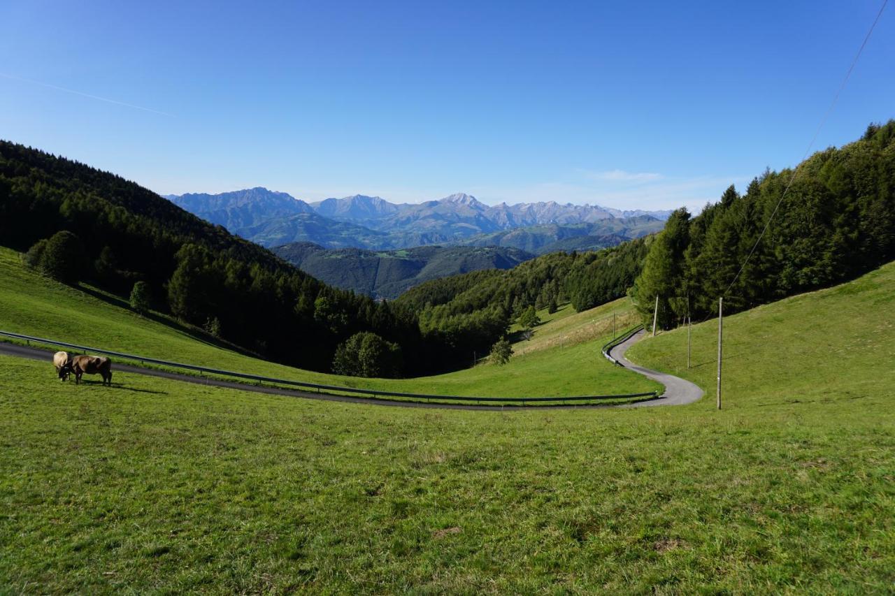 Panorama 1200, In The Heart Of The San Fermo Hills Lejlighed Adrara San Rocco Eksteriør billede